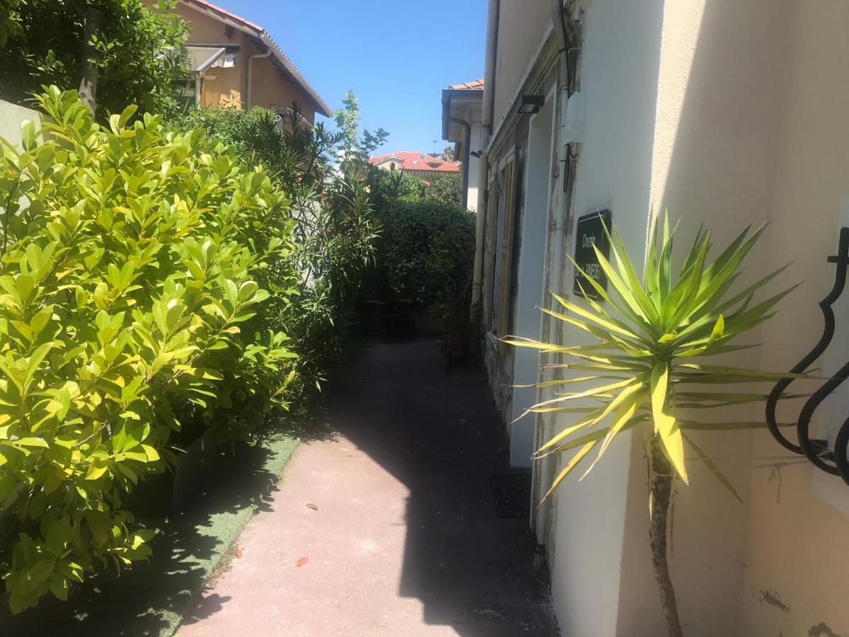 ניס Villa Mon Reve Apartements מראה חיצוני תמונה